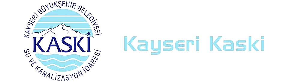 Kaski